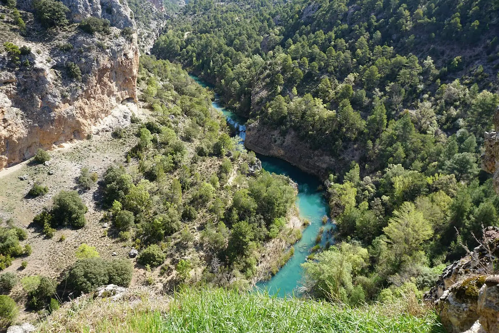 Río Júcar entre laderas arboladas y paredes calizas