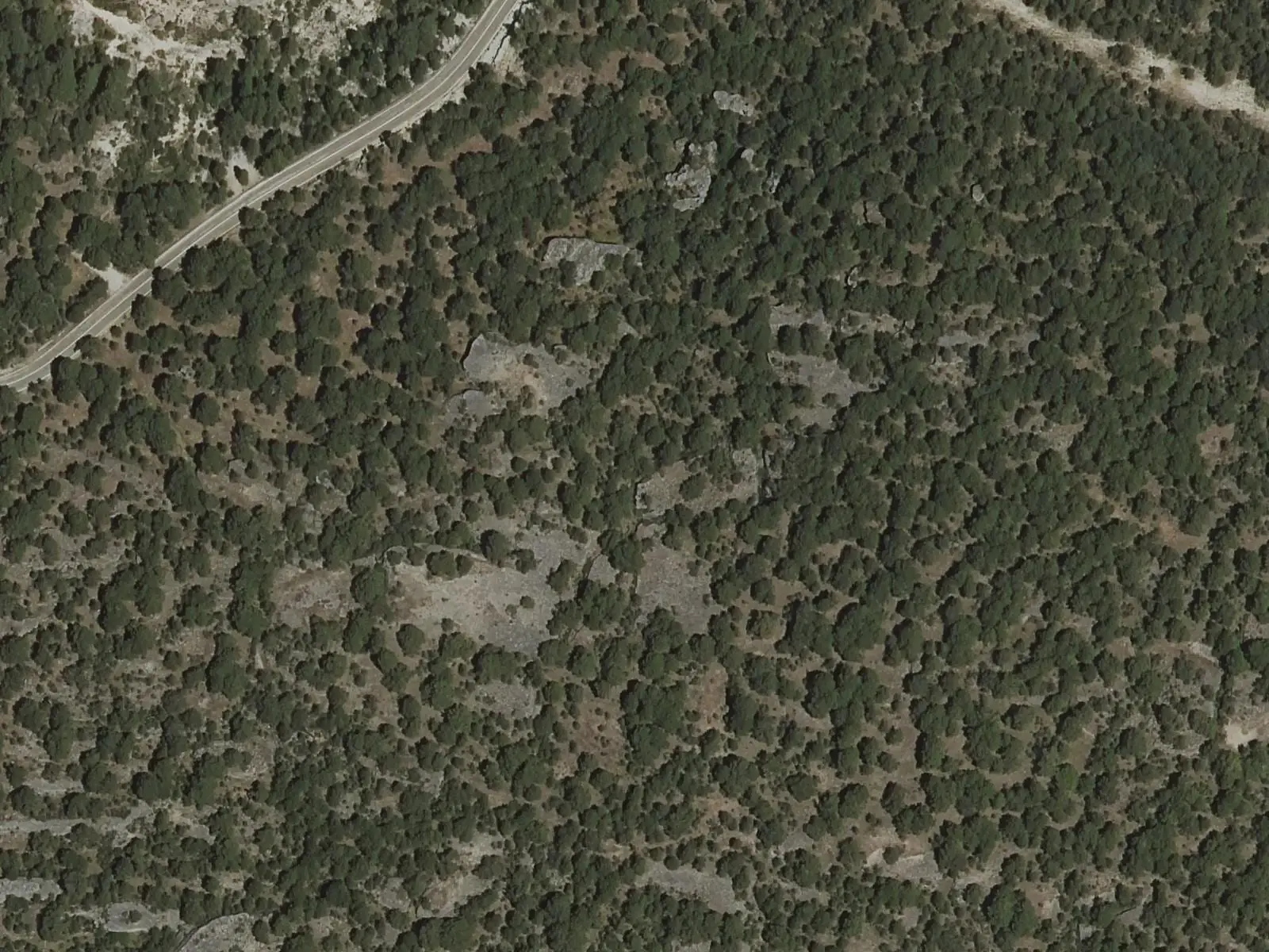 Vista aérea de la ladera rocosa y el arbolado en el entorno de la Cueva de los Morceguillos de Valdecabras