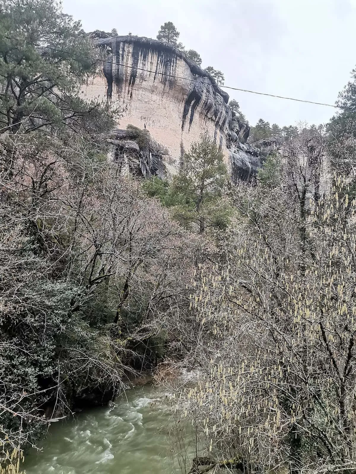 Agua y árboles junto al Guadiela en la Hoz de Beteta