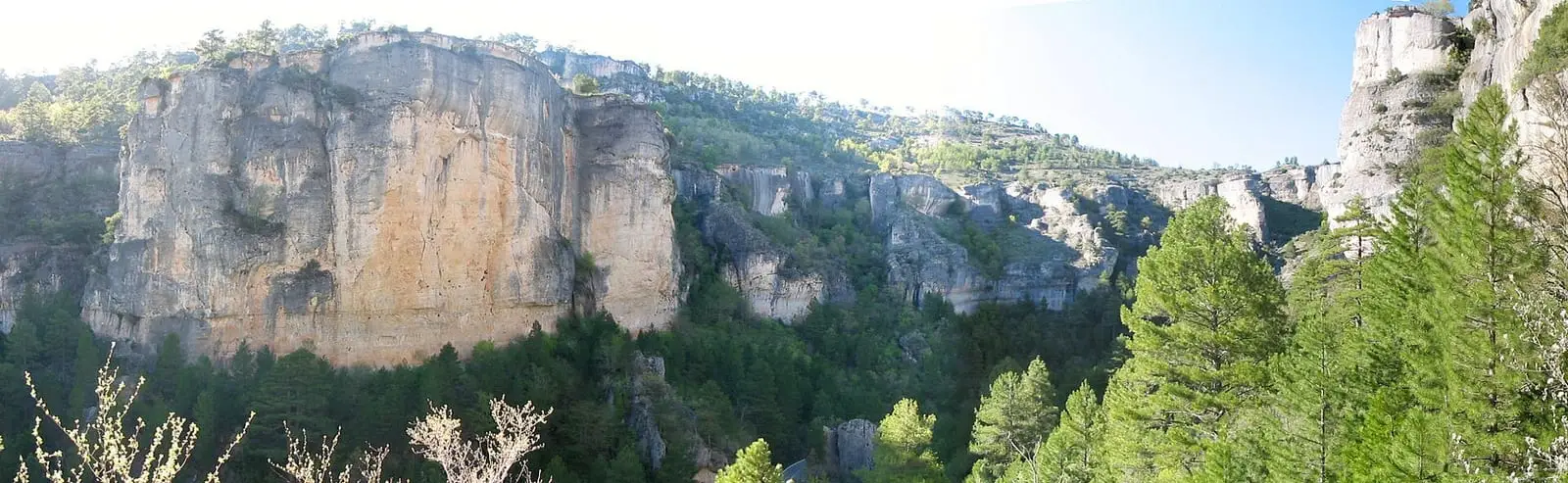 Paredes de caliza y bosque de la Hoz de Beteta