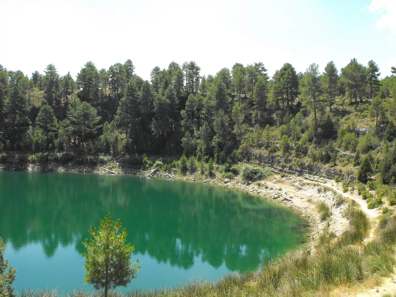 Agua de la laguna Gitana rodeada por laderas arboladas