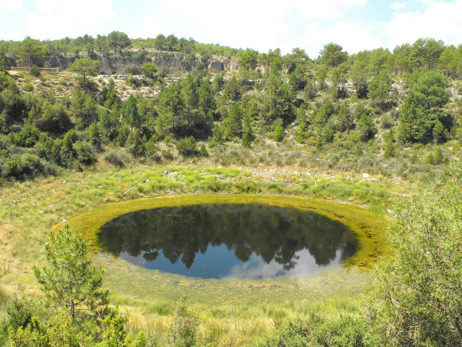 Lagunilla del Tejo rodeada de árboles