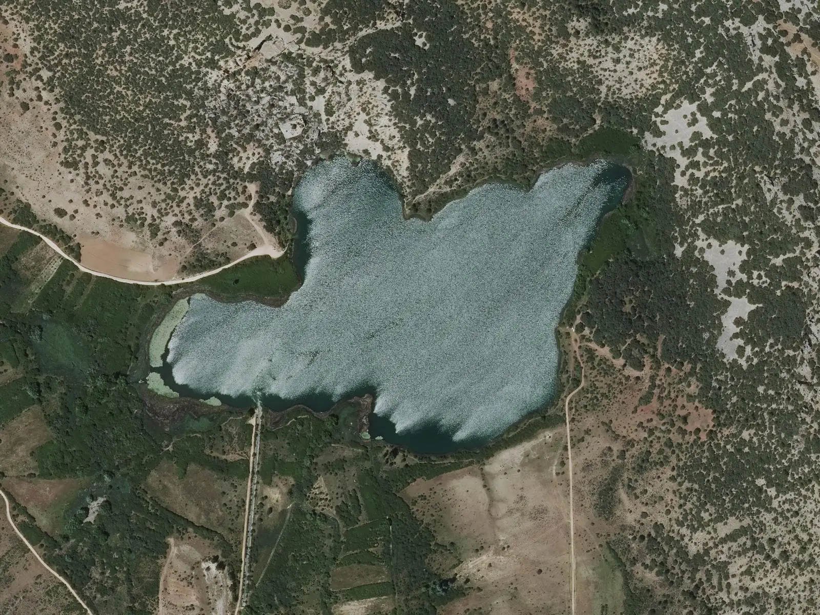 Vista aérea de la laguna Grande de El Tobar, rodeada de bosque y caminos
