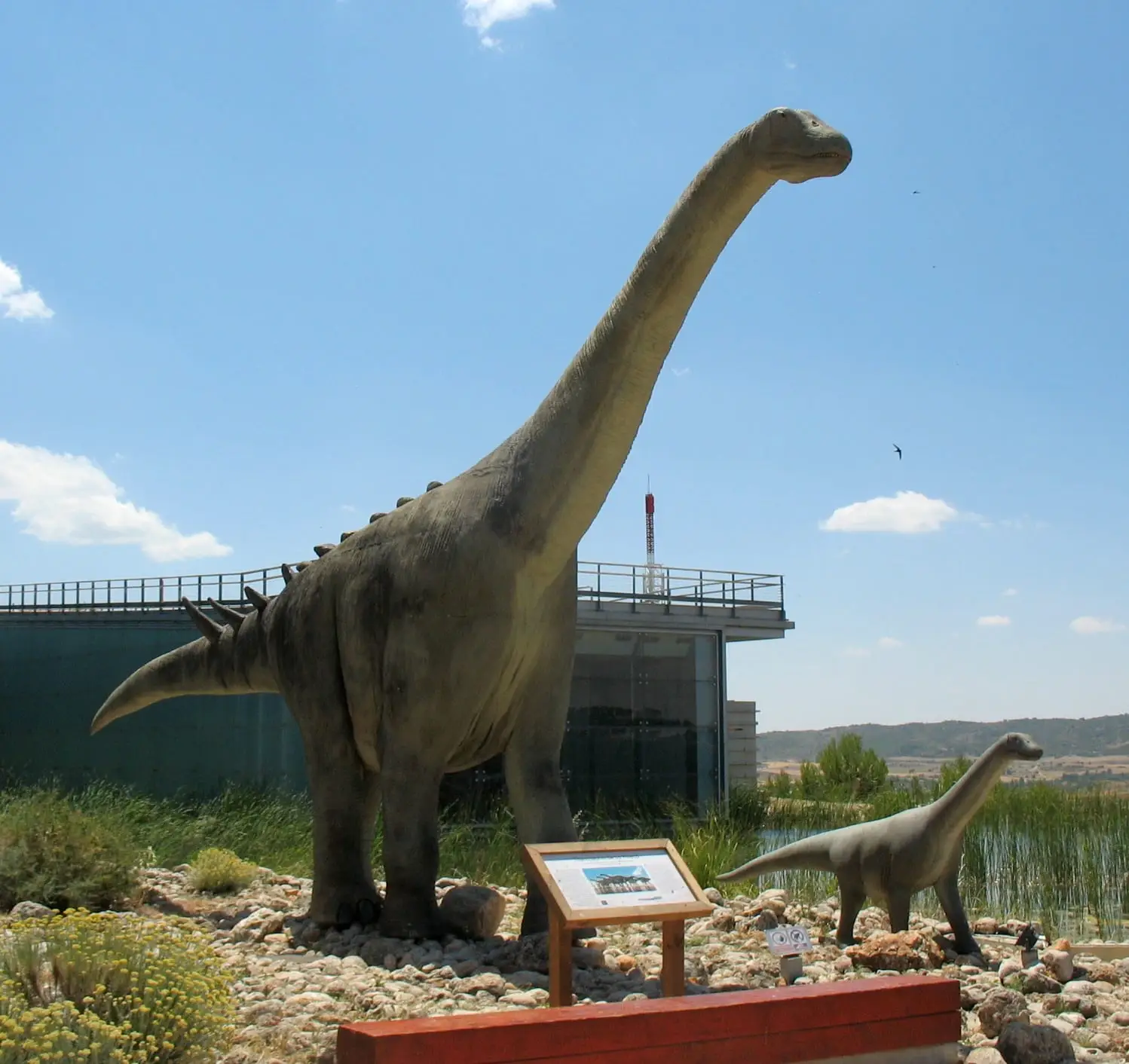 Modelo de Lohuecotitan al aire libre junto al Museo de Paleontología