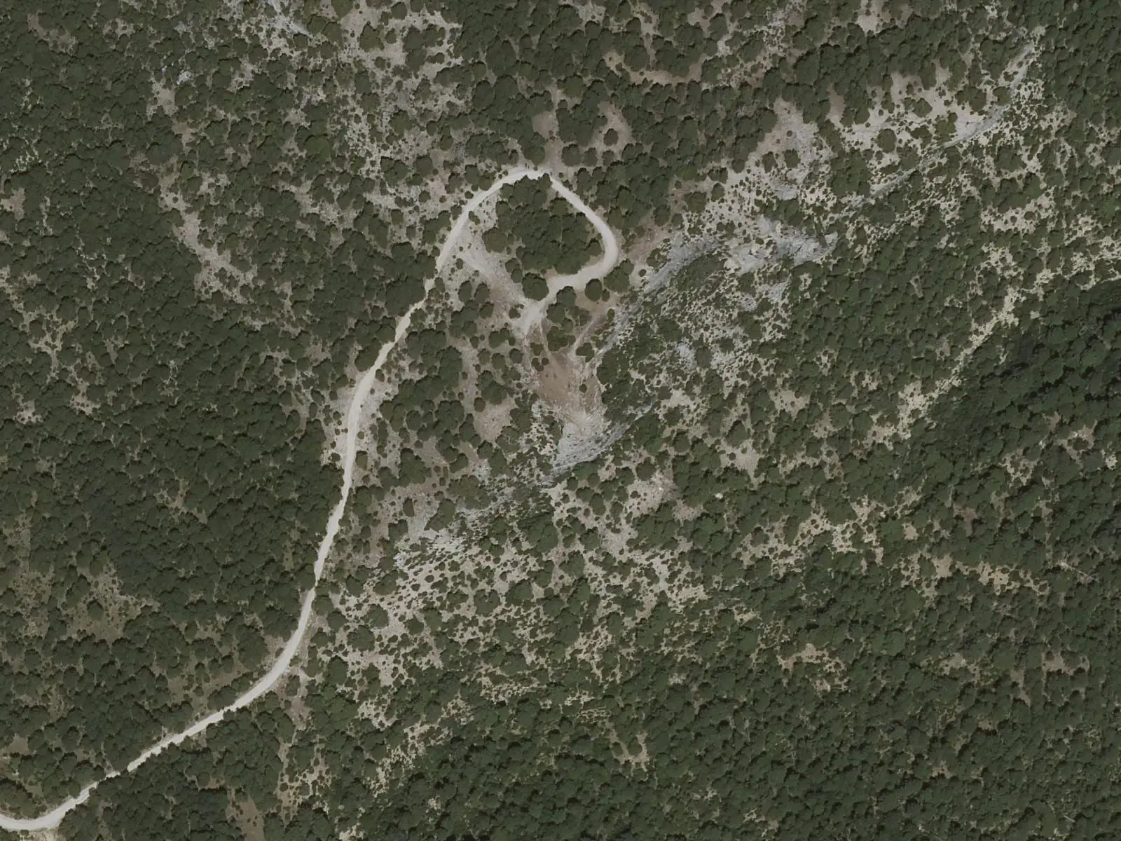 Vista aérea de un camino que rodea afloramientos rocosos entre el bosque de la Piedra del Reloj