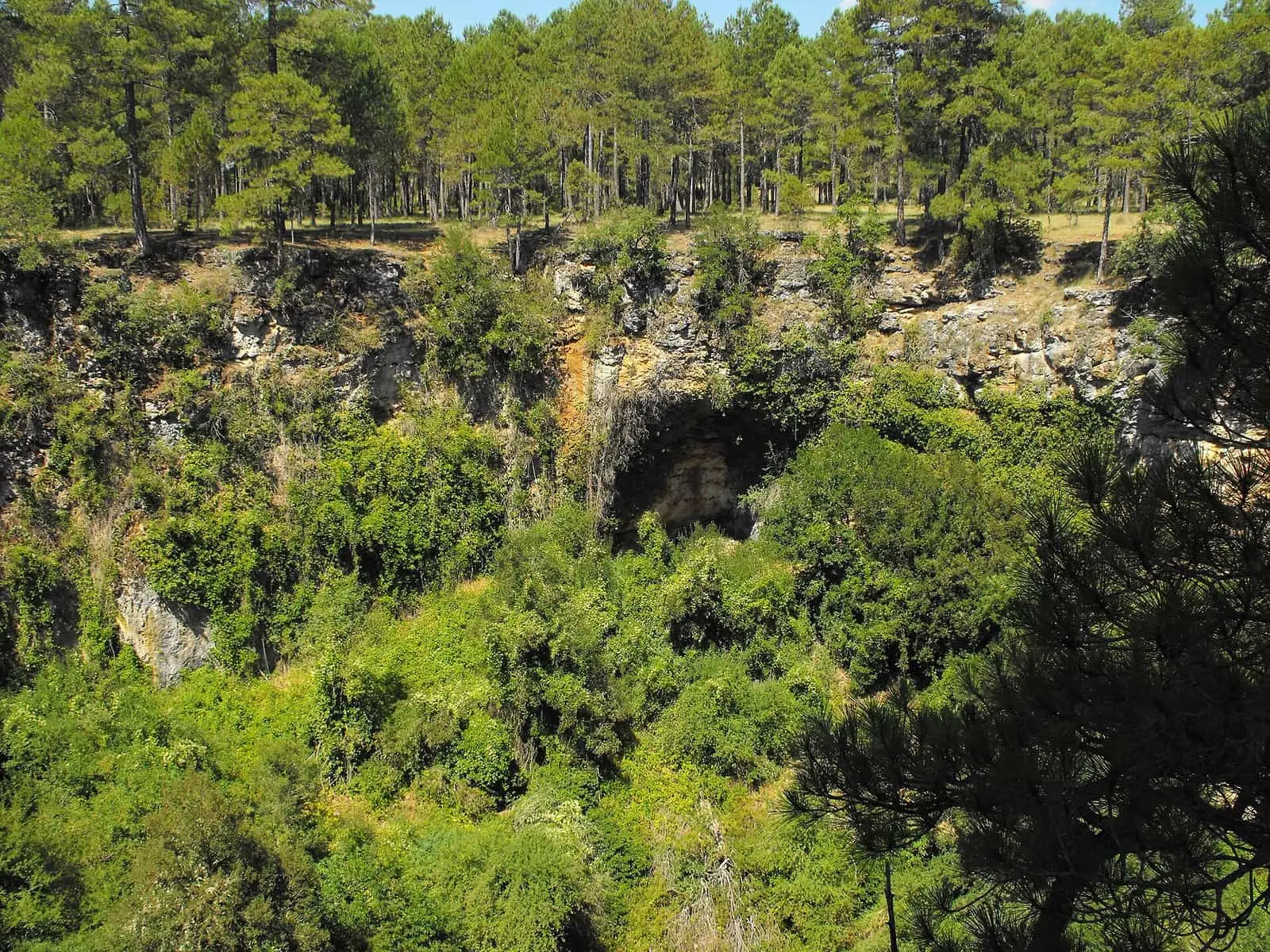 Depresión de una torca de los Palancares rodeada de pinos