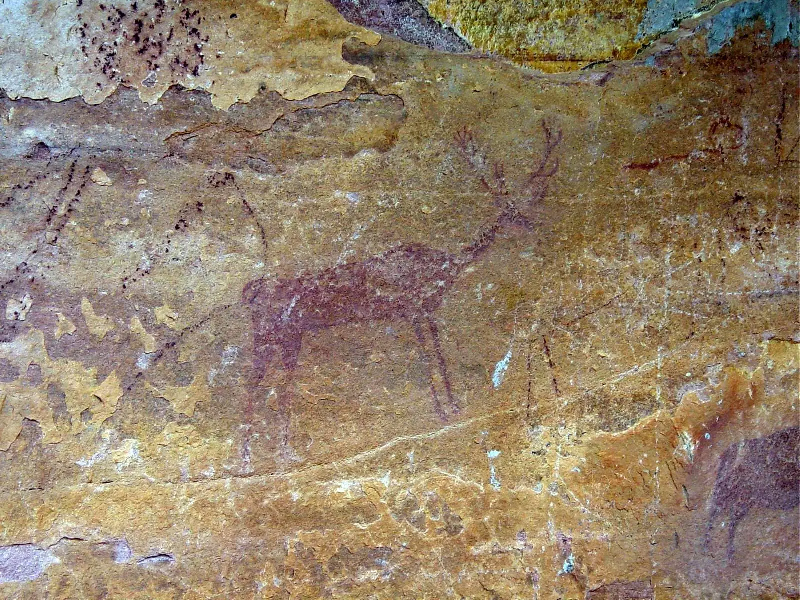 Ciervo pintado sobre roca en Peña del Escrito