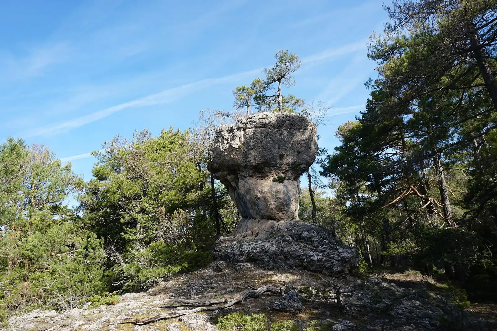Roca con forma de copa entre árboles de los Callejones