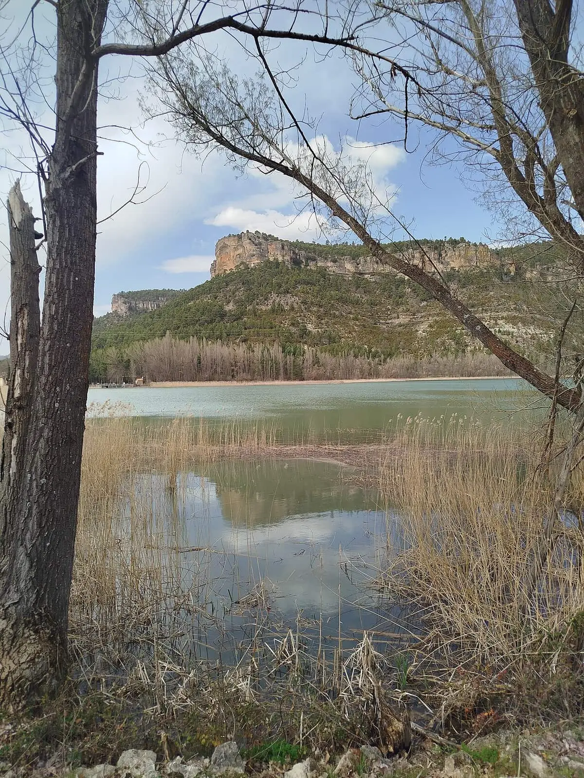 Laguna de Uña entre troncos de árboles y cañaverales
