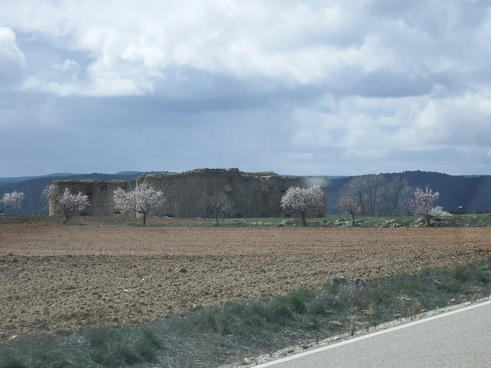 Castillo de Cardenete al otro lado de un campo con almendros
