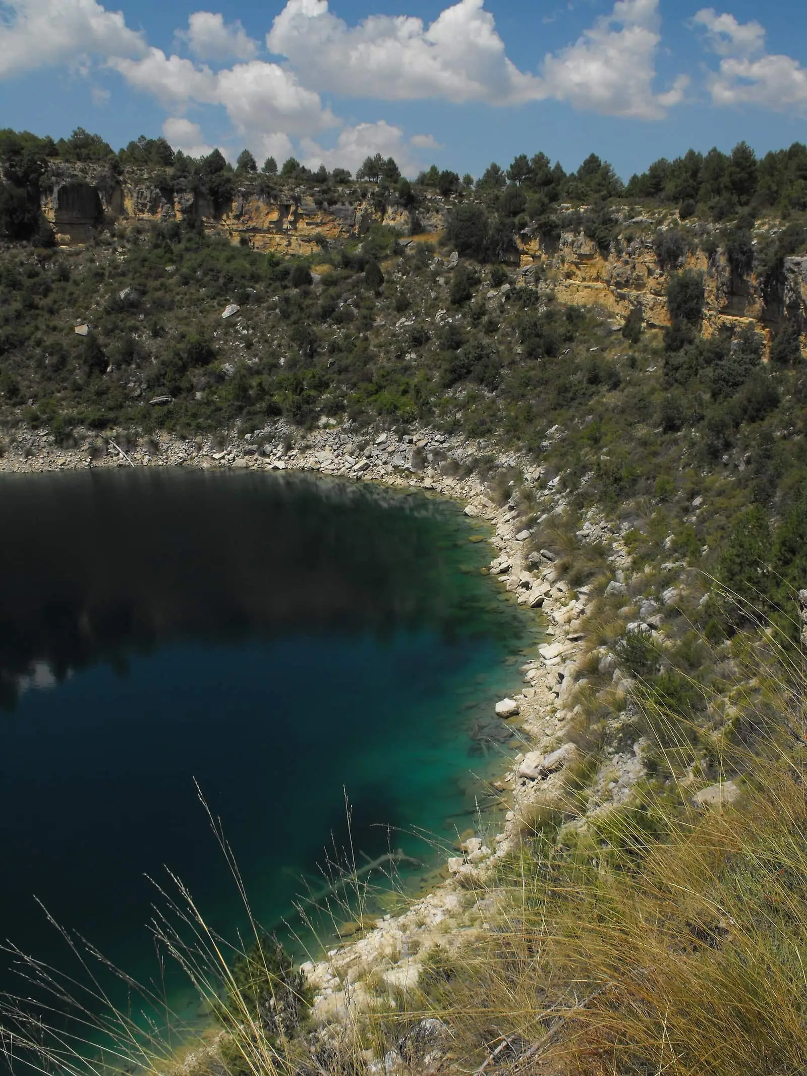 Laguna del Tejo y pinar desde el borde de la torca