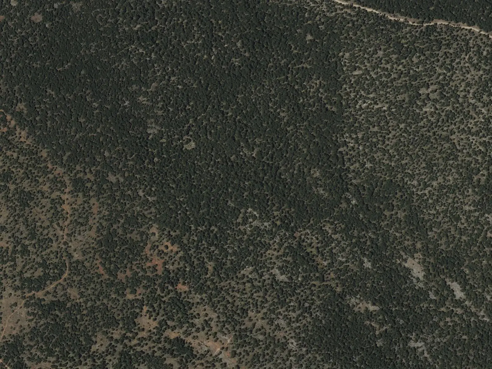Vista aérea del bosque y los claros de la Serrezuela de Valsalobre