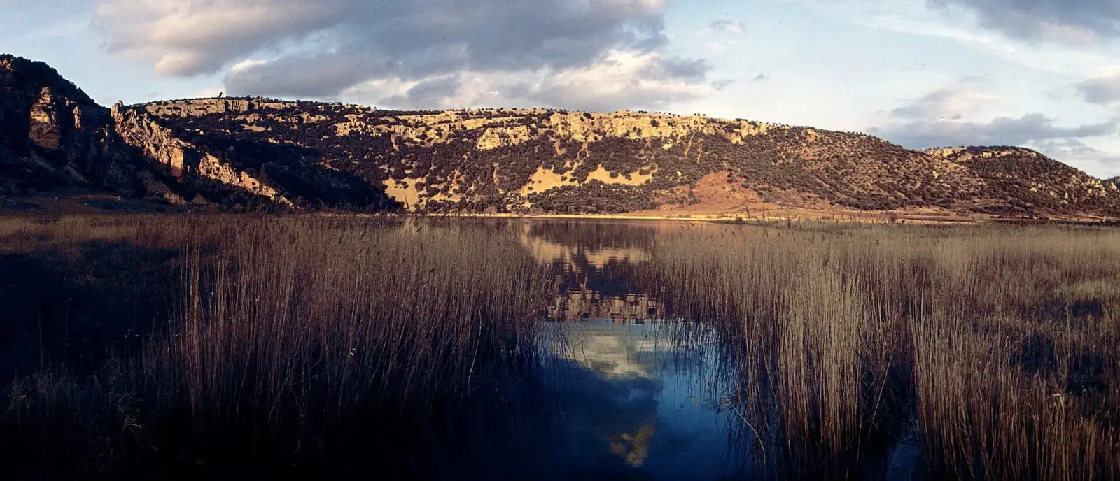 Laguna del Tobar y cañaverales bajo los cortados