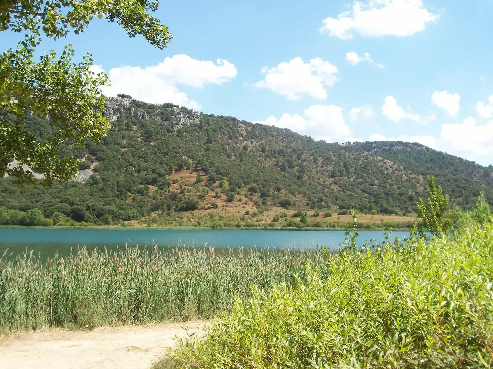 Laguna del Tobar entre cañaverales y laderas arboladas