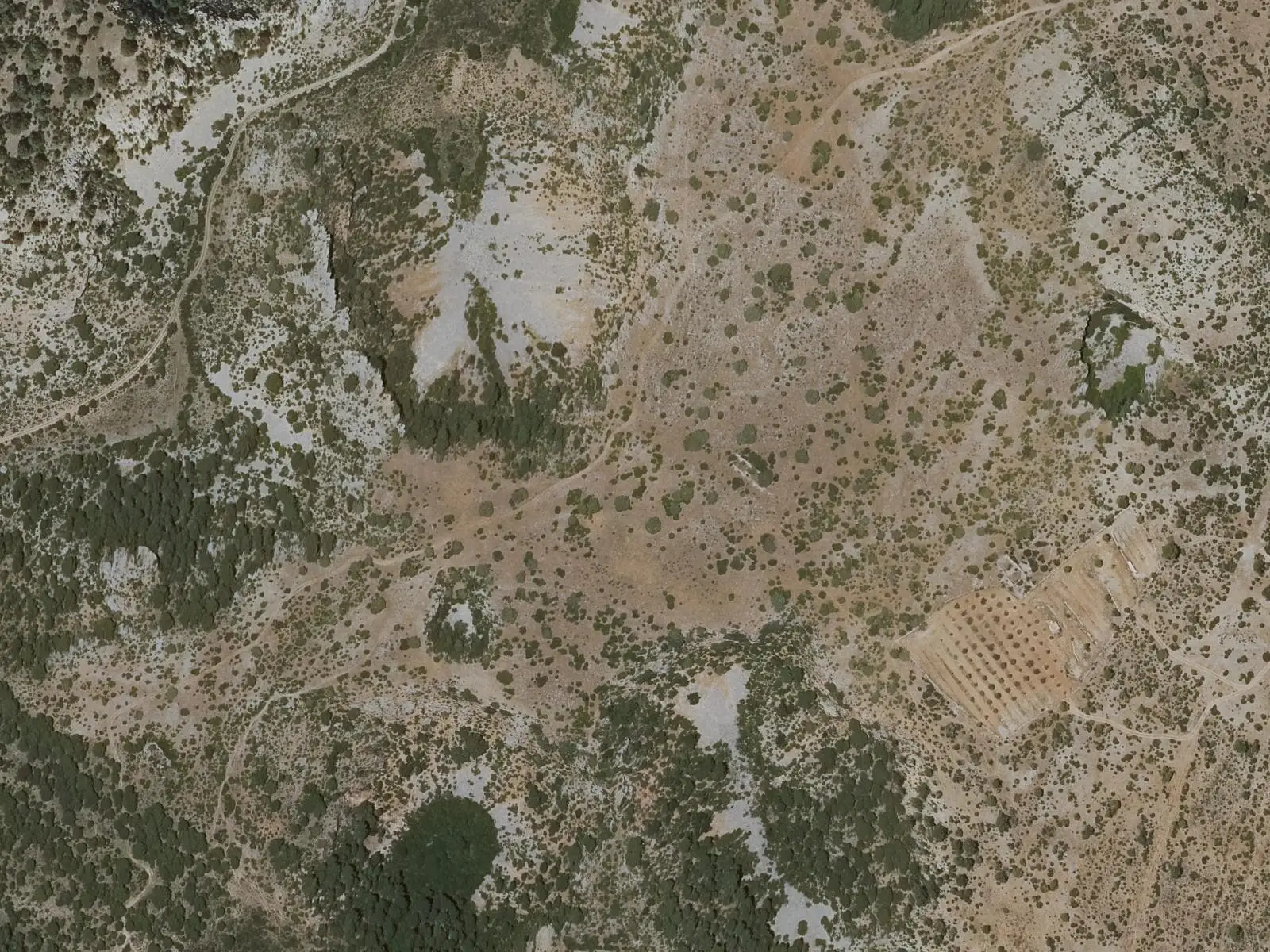 Vista aérea de las depresiones de la Torca de las Cabras y la Torca Larga en Lagunaseca